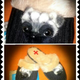 Illustration for article titled Behold my pug slippers!